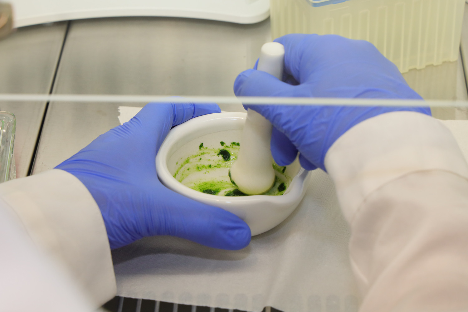 Preparación de muestras